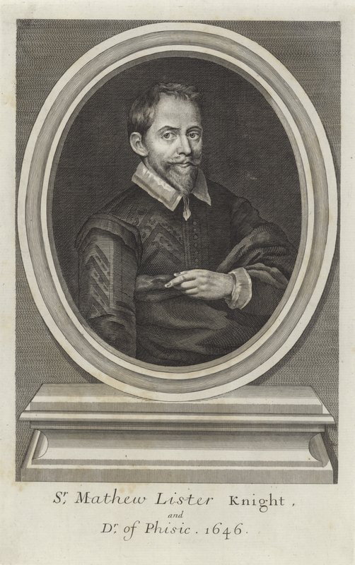 Sir Matthew Lister af Paul van Somer