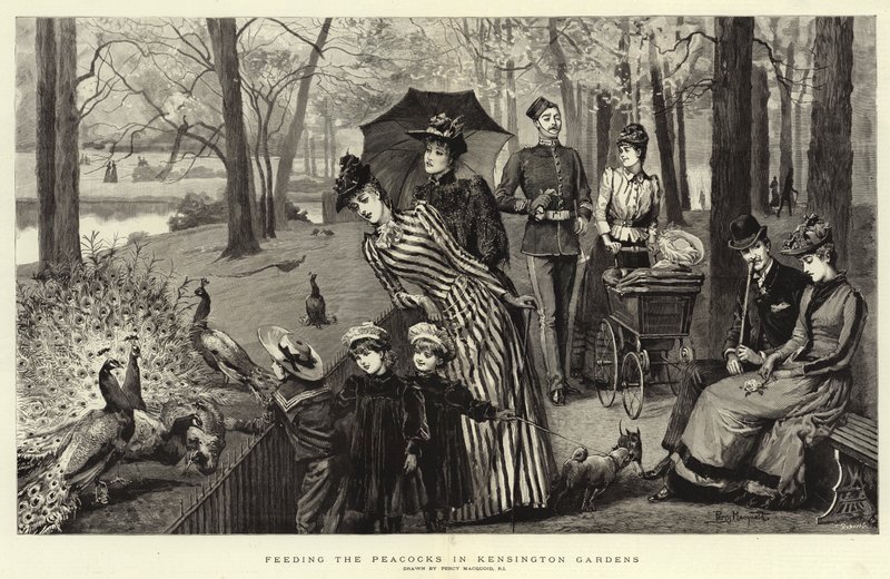 Fodre påfuglene i Kensington Gardens af Percy Macquoid