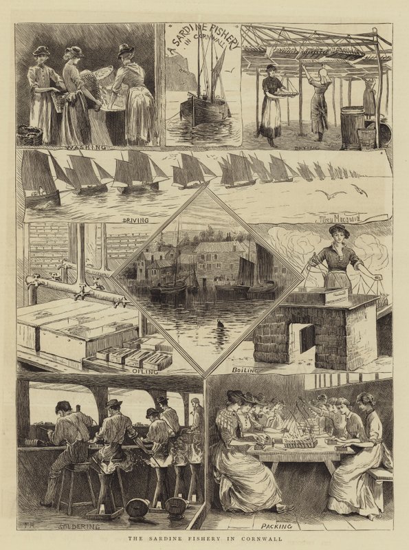 Sardinfiskeriet i Cornwall af Percy Macquoid