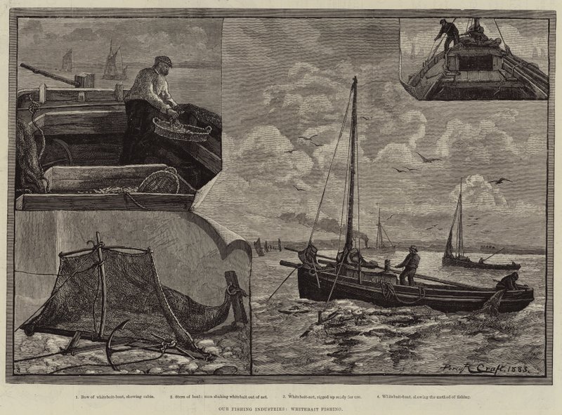 Vores fiskeindustri, Whitebait Fishing af Percy Robert Craft