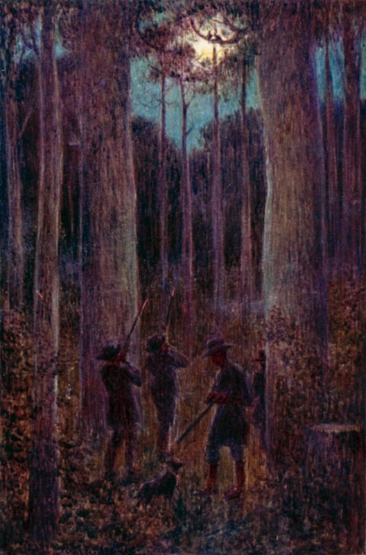 Den australske skov om natten, "mooning" opossums (farve litho) af Percy F.S. (after) Spence