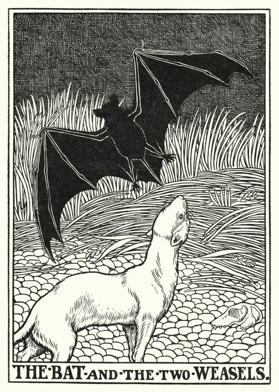Fables of La Fontaine: Flagermusen og de to væsler (litho) af Percy James Billinghurst