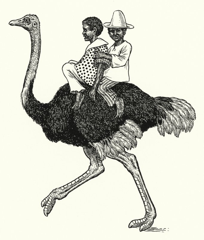 Strudsridning (litho) af Percy James Billinghurst