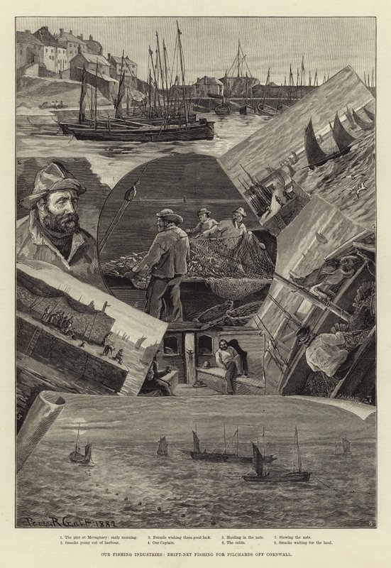 Vores fiskeindustri: Drivnetfiskeri efter pilchards ud for Cornwall af Percy Robert Craft