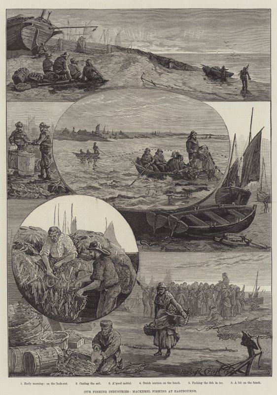 Vores fiskeindustri, makrelfiskeri i Eastbourne (gravering) af Percy Robert Craft