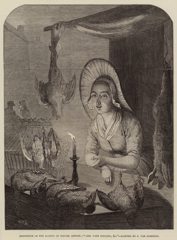 Pige med fjerkræ osv af Petrus van Schendel