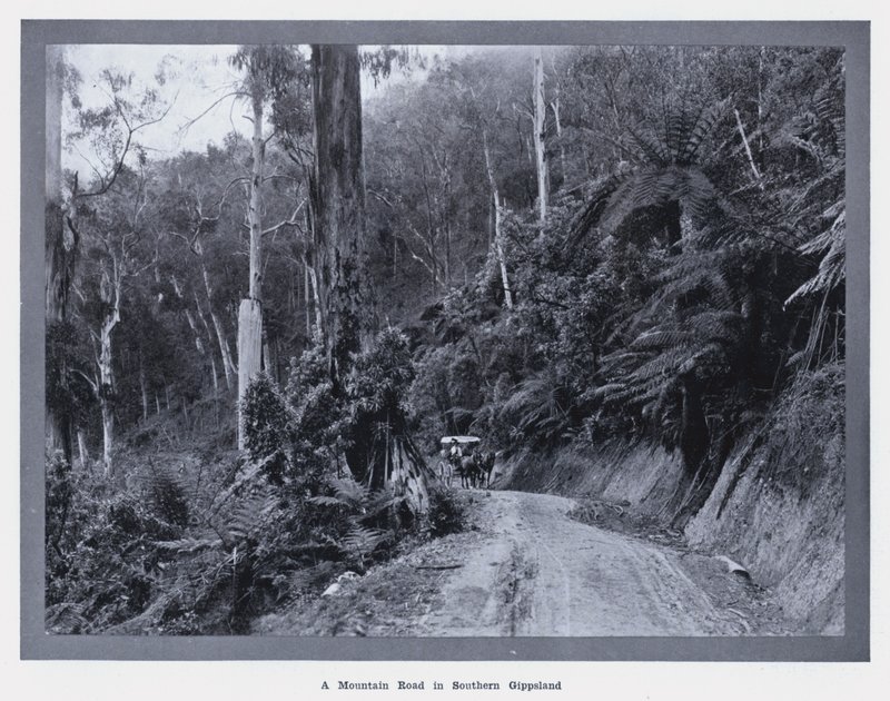 En bjergvej i det sydlige Gippsland (s/h-billede) af Photographer Australian