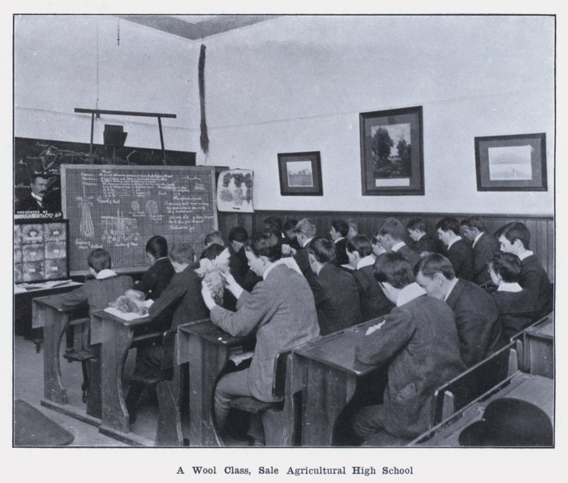 A Wool Class, Sales Agricultural High School (s/h foto) af Photographer Australian