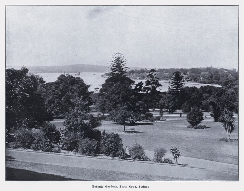 Botanisk have, Farm Cove, Sydney (s/h-billede) af Photographer Australian