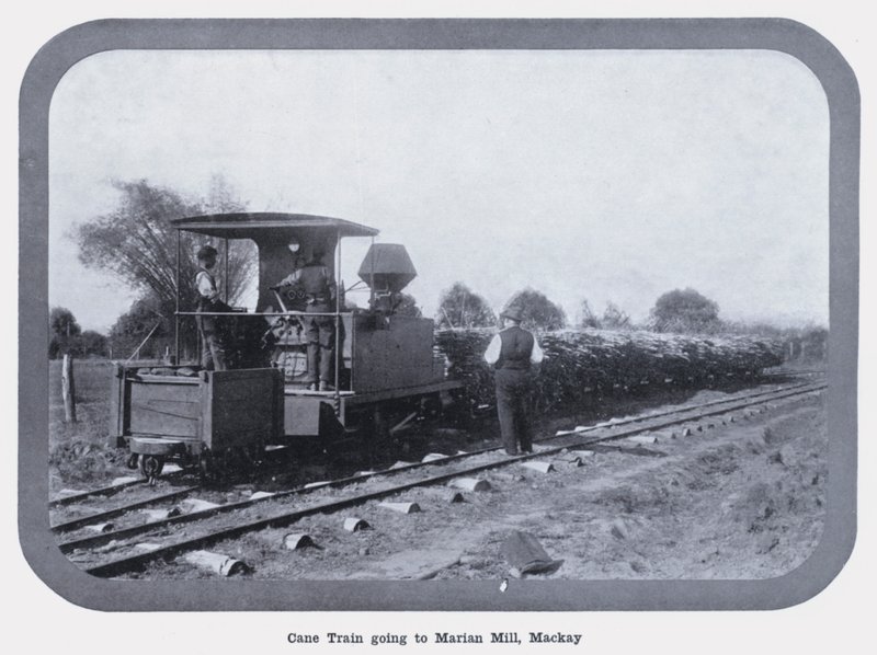 Cane Train går til Marian Mill, Mackay (s/h foto) af Photographer Australian