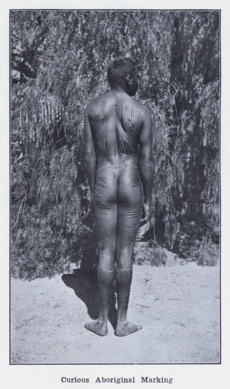 Nysgerrig aboriginal-mærkning (s/h-billede) af Photographer Australian