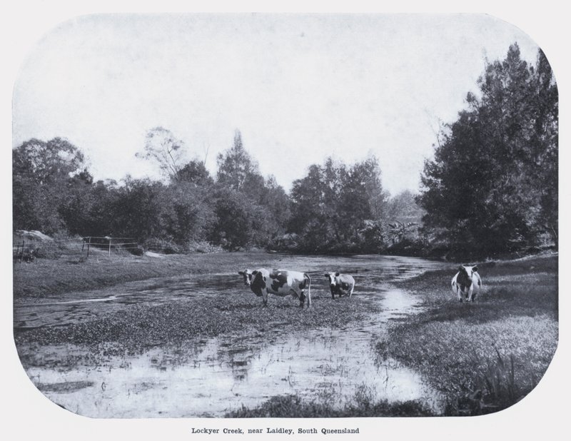 Lockyer Creek, nær Laidley, South Queensland (s/h-billede) af Photographer Australian