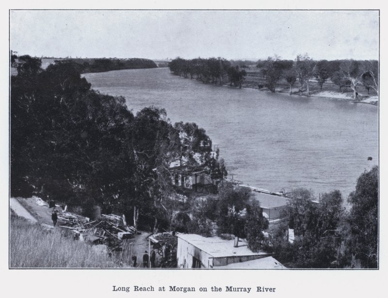 Long Reach ved Morgan på Murray River (s/h foto) af Photographer Australian