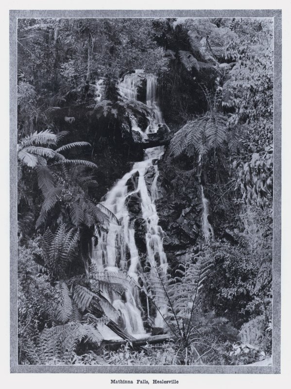 Mathinna Falls, Healesville (s/h-billede) af Photographer Australian
