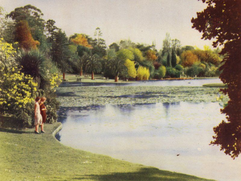 Melbourne Botanical Gardens (farvefoto) af Photographer Australian