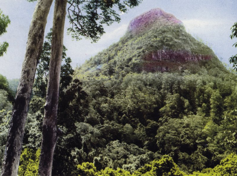 Queensland, Australien: Mt Cordeaux (billedet) af Photographer Australian