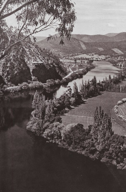 River Derwent nær New Norfolk, Tasmanien (s/h-billede) af Photographer Australian