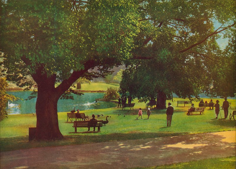 Den botaniske have, Melbourne (farvefoto) af Photographer Australian