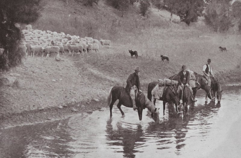 The Rest, typiske australske stockmen (s/h-billede) af Photographer Australian