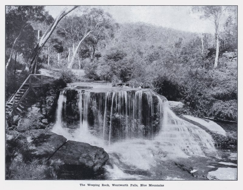 The Weeping Rock, Wentworth Falls, Blue Mountains (s/h foto) af Photographer Australian