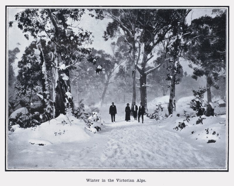 Vinter i de victorianske alper (s/h foto) af Photographer Australian