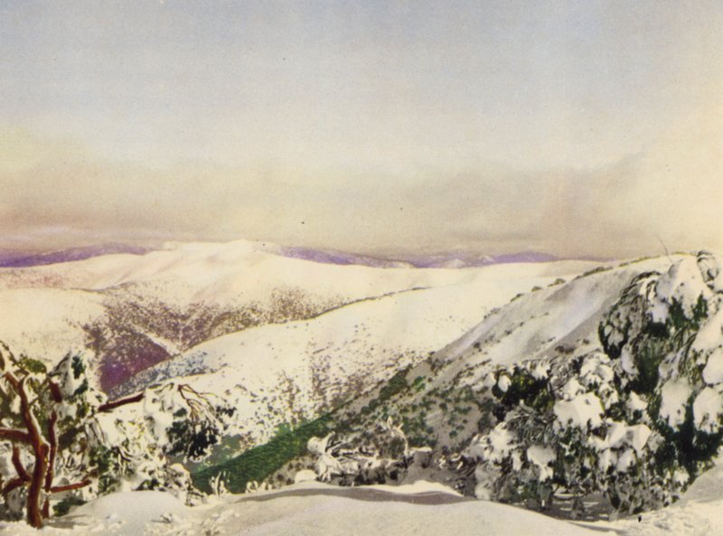 Vinter i de victorianske alper (farvefoto) af Photographer Australian