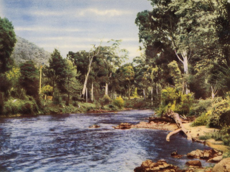 Yarra River (farvefoto) af Photographer Australian