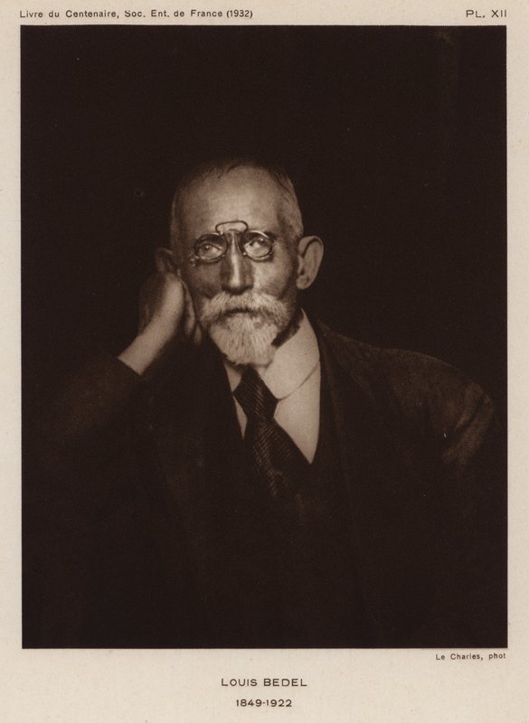 Ernest Marie Louis Bedel, fransk entomolog (s/h foto) af Photographer French