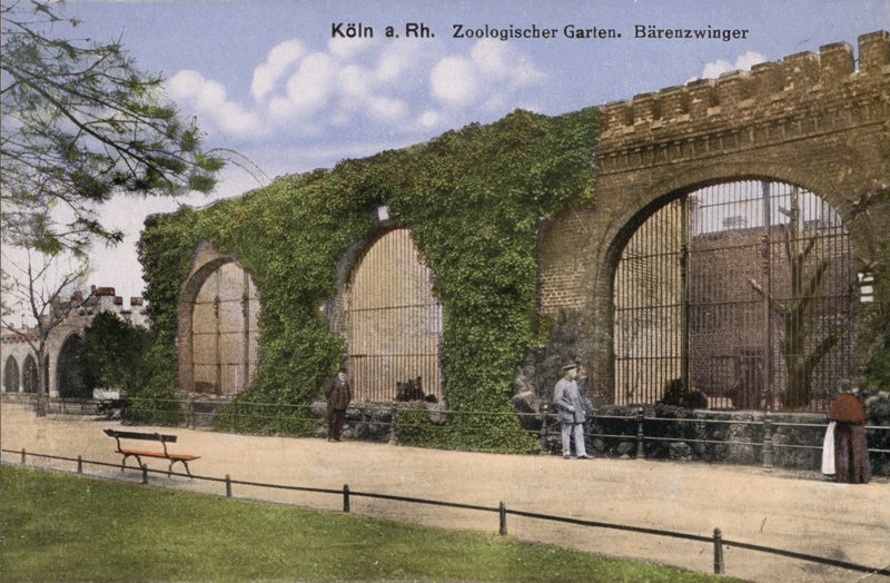 Köln Zoo, Bears (foto) af Photographer German