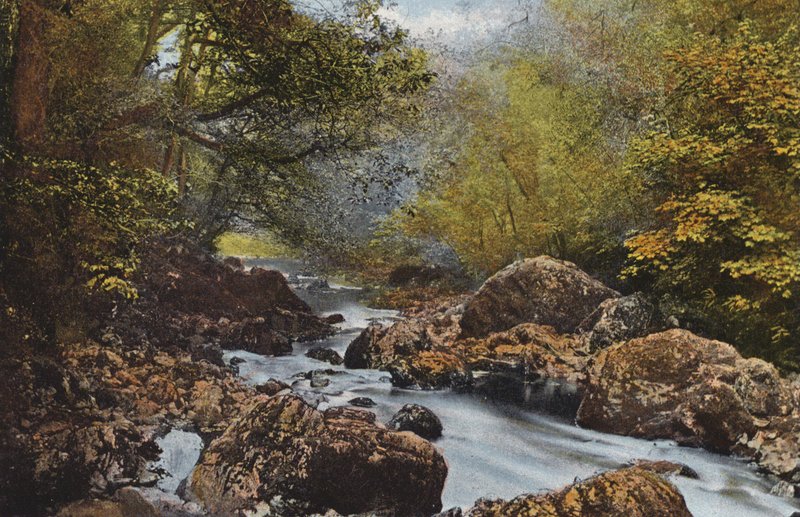 Irland: In The Dargle, County Wicklow (farvet foto) af Photographer Irish