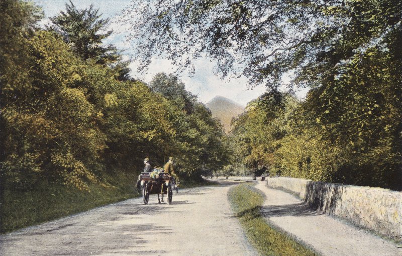 Irland: The Glen of the Downs, Sugar Loaf Mountain, County Wicklow (farvet foto) af Photographer Irish