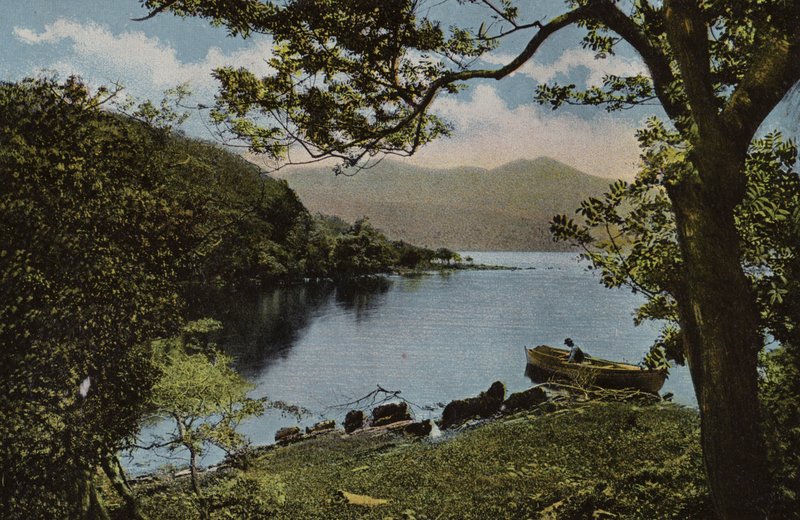 Sydirland: Ved Innisfallen, Killarney (farvet foto) af Photographer Irish