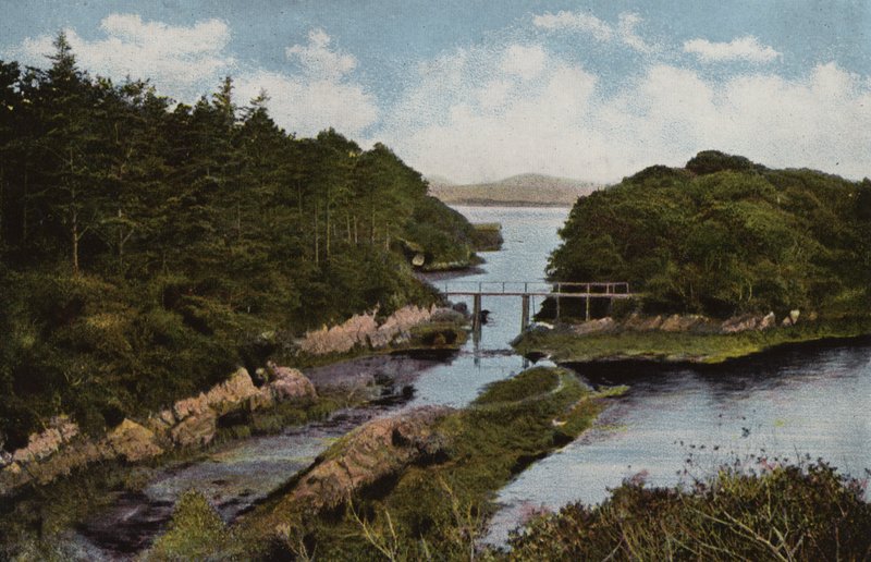 Sydirland: Parknasilla, County Kerry (farvet foto) af Photographer Irish