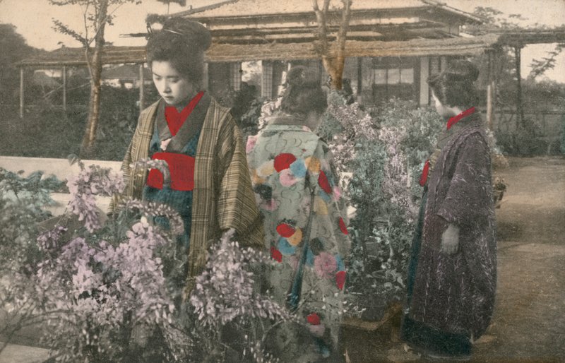 Japanske kvinder med blåregnplanter (farvet foto) af Photographer Japanese