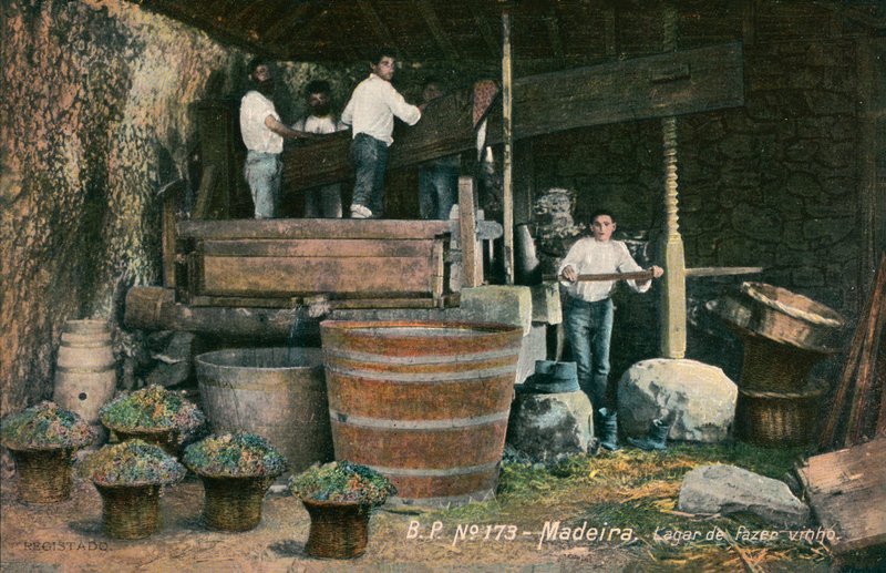 Vinpresse, Madeira, Portugal (s/h-foto) af Photographer Portuguese