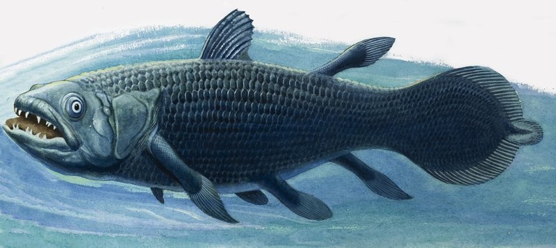 Coelacanth af R.B. Davis
