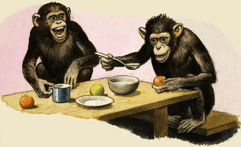 Z for Zoo. Chimpansens teselskab af R.B. Davis