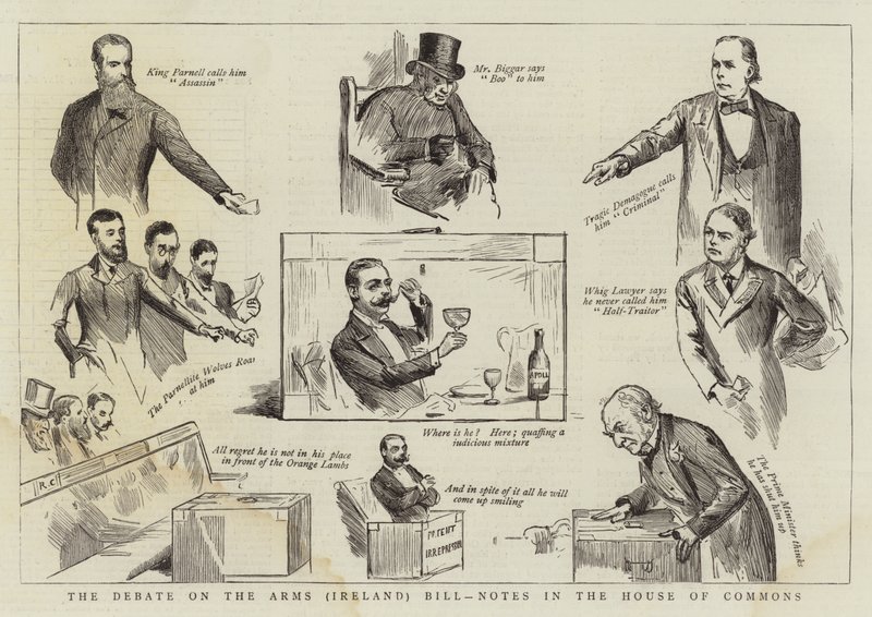 Debatten om lovforslaget om våben (Irland), noter i Underhuset af Randolph Caldecott