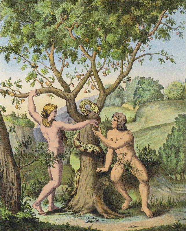 Eva præsenterer æblet fra træet til viden om godt og ondt til Adam (farve litho) af after Raphael