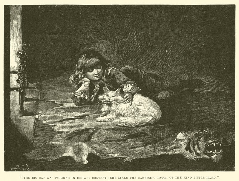 Illustration til Lille Lord Fauntleroy af Reginald Bathurst Birch