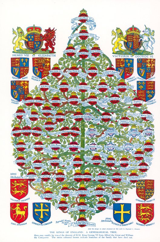 The Kings Of England, A Genealogical Tree (farvelitografi) af Reginald & Horace (1884 1954) Knowles