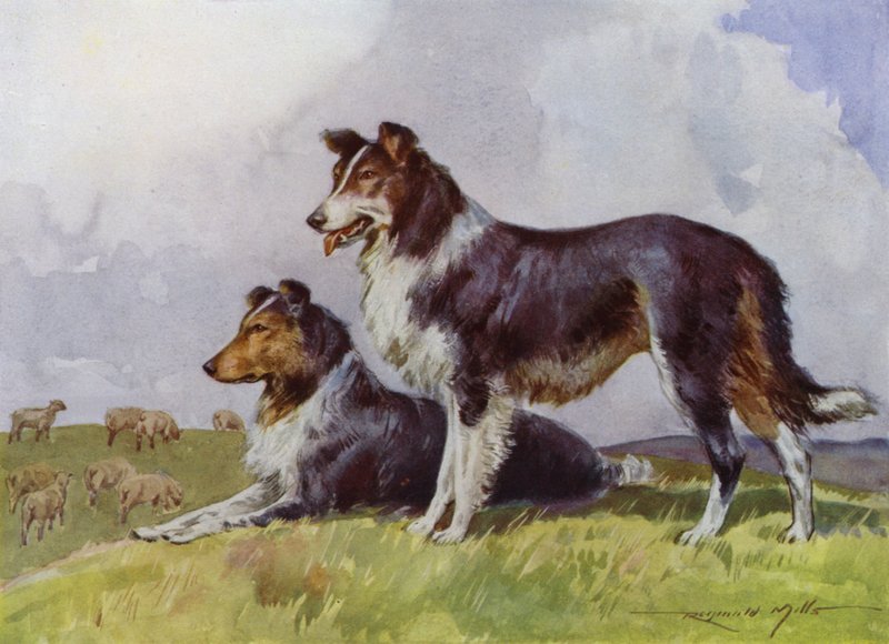 Illustration til My Farm (farve litho) af Reginald Mills