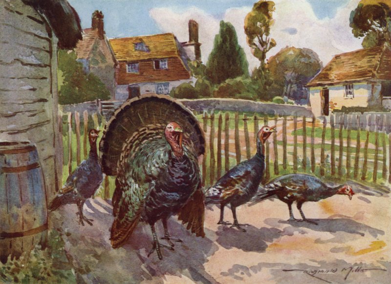Illustration til My Farm (farve litho) af Reginald Mills
