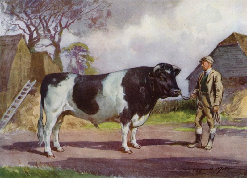 Illustration til My Farm (farve litho) af Reginald Mills