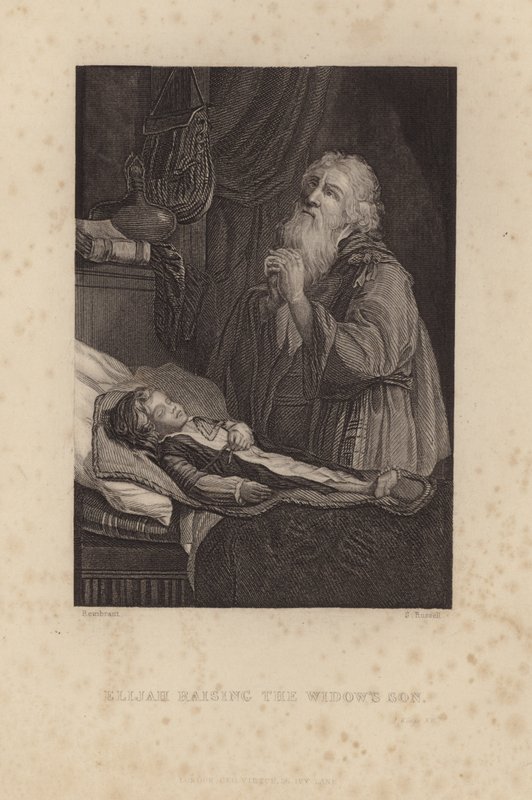Elias opdrager enkens søn af Rembrandt van Rijn