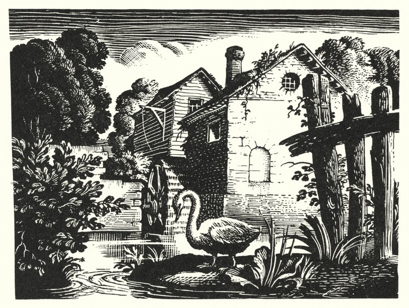 HC Andersen: Den grimme ælling (litho) af Rex (after) Whistler