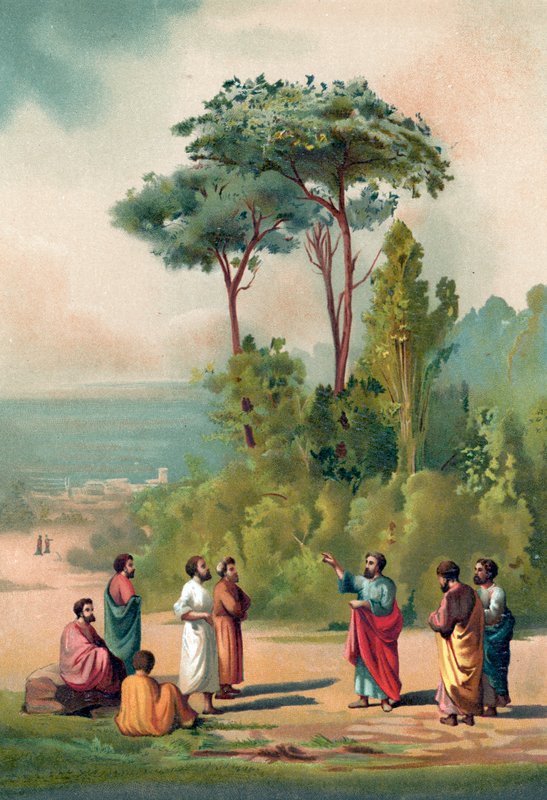 Platon og hans disciple i den akademiske have af Ricardo Marti