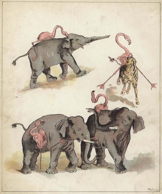 Elefanter og flamingoer (chromolitho) af Richard Andre