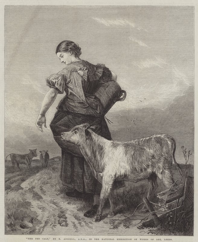 Dyrekalven af Richard Ansdell