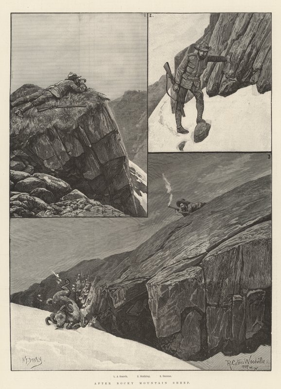 Efter Rocky Mountain Sheep af Richard Caton Woodville junior